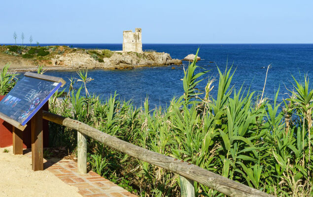 Ático Los Pelicanos - Photo 31