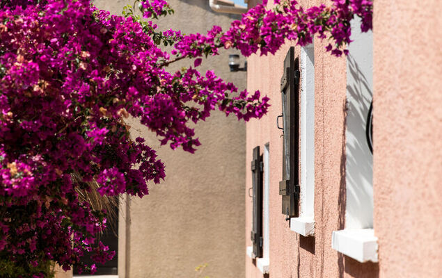 Suite une chambre - Photo 18