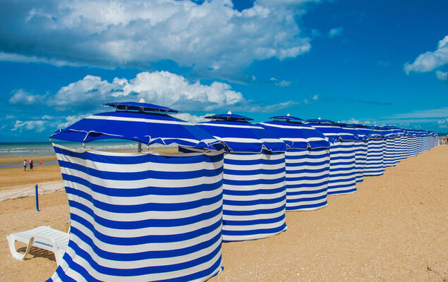 Fleur Marine - Photo 16